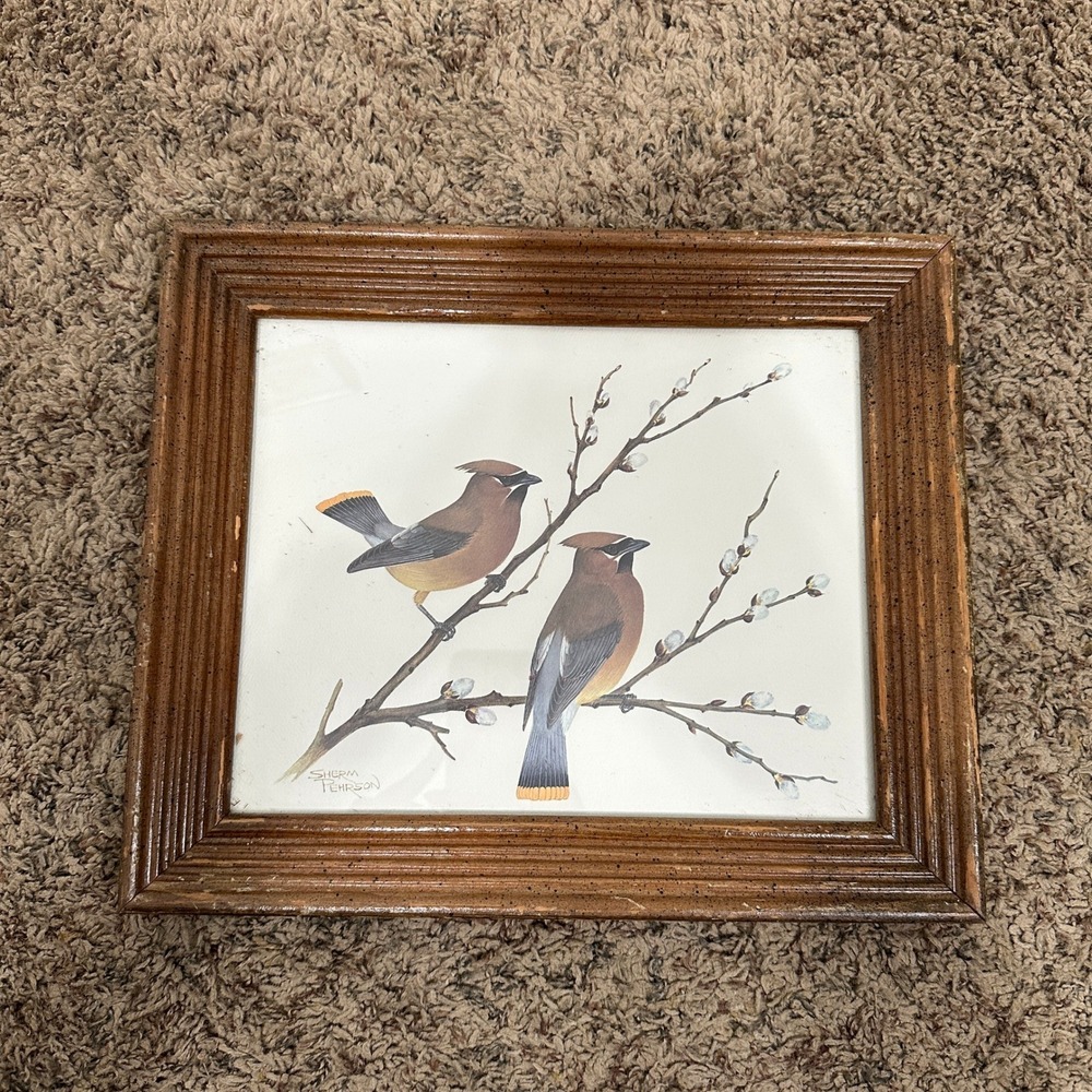 Vintage Sherm Pehrson Cedar Waxwing‎ Bird Art Print Framed Willow Branch